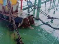 Tongkang kanggo didol