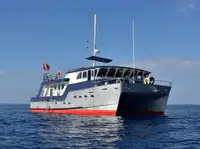Towboat kanggo didol