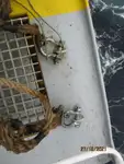 Kapal reefer kanggo didol