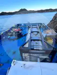 Pembawa akeh kanggo didol