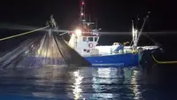 Kapal trawler kanggo didol