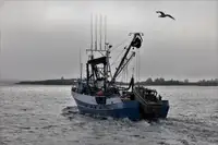 Kapal purse seiner kanggo didol