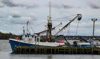 Kapal purse seiner kanggo didol