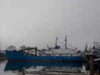 Kapal pengangkut barang curah kanggo didol