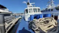 Kapal patroli kanggo didol