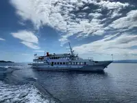 Kapal pesiar kanggo didol