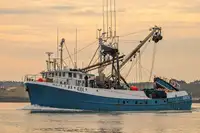 Purse seiner kanggo didol