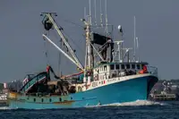 Purse seiner kanggo didol