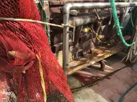 Kapal trawler kanggo didol