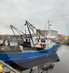 Pembawa iwak urip kanggo didol