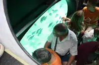 Kapal selam kanggo didol