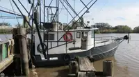 Trawler kanggo didol