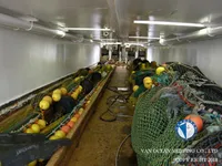 Kapal trawler kanggo didol