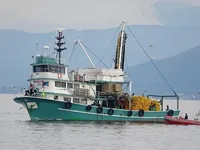 Kapal purse seiner kanggo didol