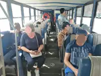 Amfibi kanggo didol