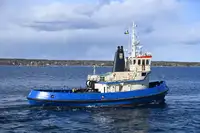 Towboat kanggo didol