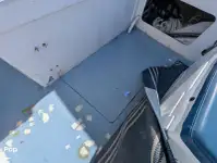 Kapal pesiar-feri kanggo didol