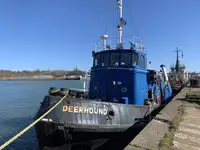 Towboat kanggo didol