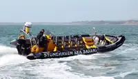 Perahu inflatable kaku kanggo didol