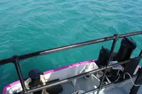General Cargo/Multi-purpose kanggo didol
