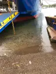 Kapal Ro-Ro kanggo didol