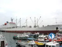 Kapal reefer kanggo didol