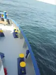Kapal reefer kanggo didol