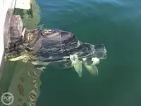 Kapal trawler kanggo didol