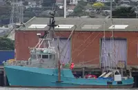 Trawler kanggo didol