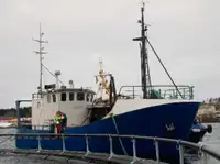 Trawler kanggo didol