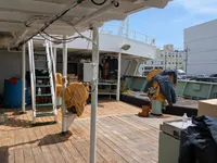 Kapal longliner kanggo didol