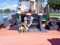 Kapal penarik kanggo didol