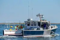 Purse seiner kanggo didol