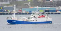 Purse seiner kanggo didol