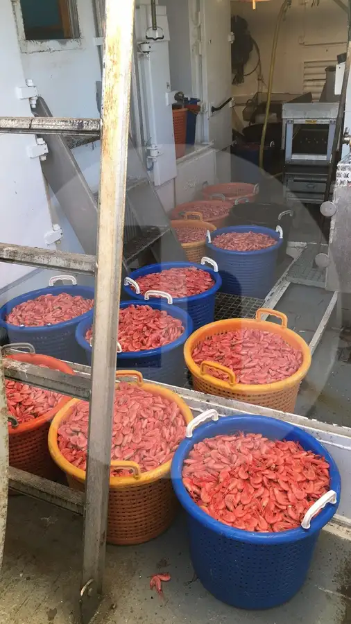 Kapal trawler berkas kanggo didol