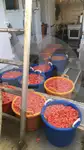 Kapal trawler berkas kanggo didol