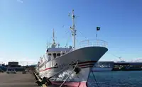 Kapal survey kanggo didol