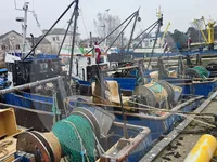 Kapal pengangkut iwak urip kanggo didol
