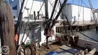 Kapal trawler kanggo didol