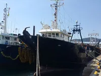 Kapal trawler kanggo didol