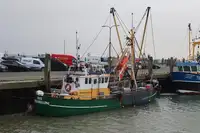 Kapal trawler kanggo didol