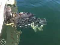 Kapal trawler kanggo didol