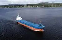 Kapal pengangkut barang curah kanggo didol