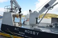 Kapal kontainer kanggo didol