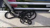 Kapal kontainer kanggo didol