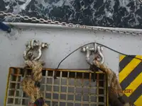 Kapal reefer kanggo didol