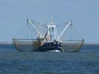 Trawler kanggo didol