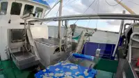 Kapal trawler berkas kanggo didol