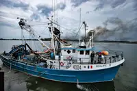 Kapal purse seiner kanggo didol