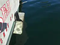 Kapal trawler kanggo didol